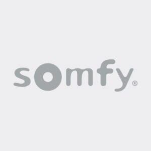 Kit SOMFY IXENGO L (noix)